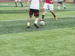 拜仁慕尼黑,轮对决科隆,莱万格纳布,太阳城官网,太阳城官网全球信赖,太阳城官网在线娱乐平台