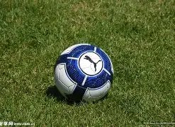 常规赛,南京迎战北,赵柏清闪耀,太阳城官网,太阳城官网全球信赖,太阳城官网在线娱乐平台