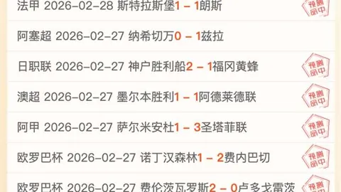 体育界辉煌历程：年薪之王运动员档案一览